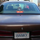 Image for article titled If You Can't Buy It, Build It: Wanky The Safety Cat